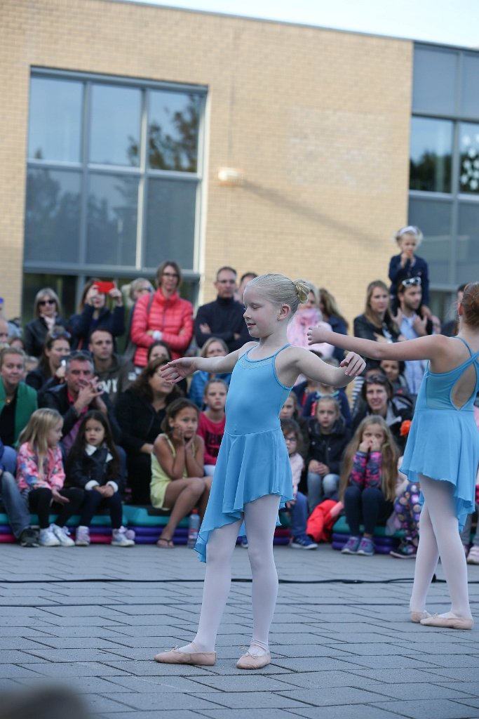 Schoolplein Festival B 088.jpg